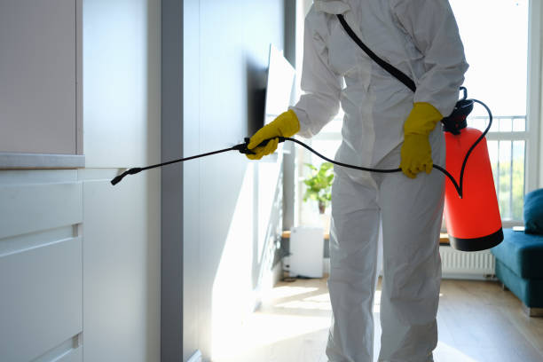Best Mold Prevention Services  in Lone Pine, CA
