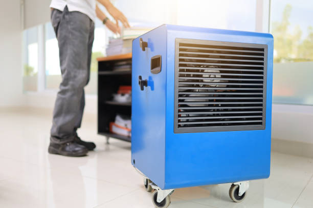 Best Real Estate Mold Inspection  in Lone Pine, CA