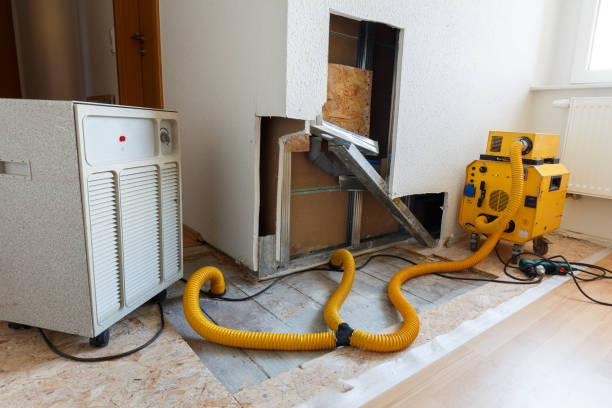 Best Biohazard Mold Removal  in Lone Pine, CA