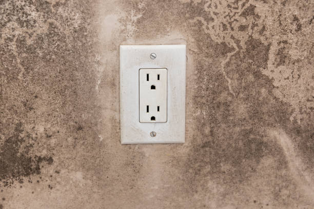 Best Asbestos and Lead Testing During Mold Inspection  in Lone Pine, CA